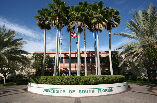 usf.jpg usf.jpg