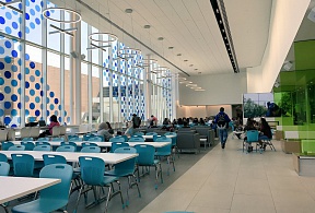 Niagara College (Канада)