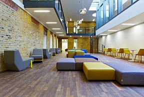 Hult International Business School (Великобритания)