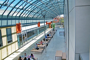 Университет University of Dunaújváros